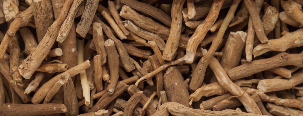 ksm66 ashwagandha España