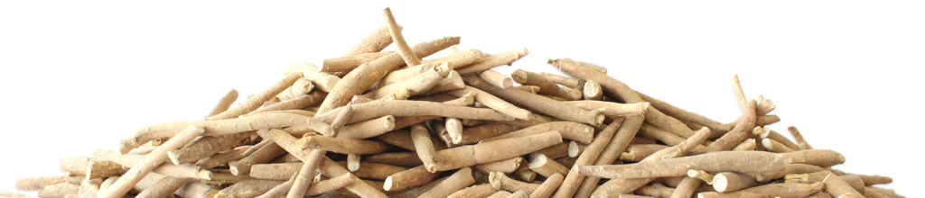 L'ashwagandha : un complément alimentaire bénéfique ou dangereux