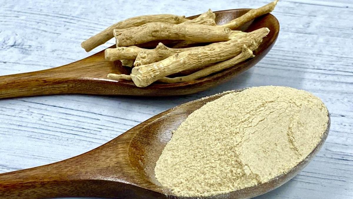 Ginseng Indien Bio en Poudre